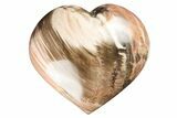 Polished Triassic Petrified Wood Heart - Madagascar #194895-1